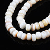 Natural Trochid Shell/Trochus Shell Beads Strands SHEL-S258-081-A01-3