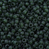 MIYUKI Round Rocailles Beads SEED-G007-RR0156F-3