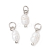 Natural Cultured Freshwater Pearl Potato Charms with Brass Jump Rings PALLOY-JF04176-02-1