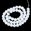 Opalite Beads Strands G-T106-340-3