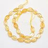 Natural Citrine Beads Strands G-K202-26B-2