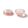 Transparent Resin Cabochons RESI-G034-B07-4