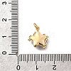 Brass Micro Pave Cubic Zirconia Charms KK-Q043-04G-3