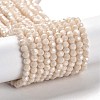 Electroplate Opaque Glass Beads Strands LS-EGLA-A035-P4mm-A05-1