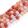Crackle Natural Carnelian Beads Strands G-H235-1