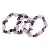 Chips Gemstone Beaded Stretch Bracelets BJEW-JB01824-04-2