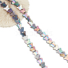  2 Strands Natural Freshwater Shell Beads Strands SHEL-NB0001-55-1