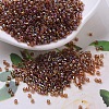 MIYUKI Delica Beads SEED-X0054-DB0170-1