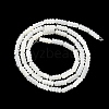 Natural Trochus Shell Beads Strands BSHE-Z003-17-2