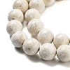 Natural Fossil Beads Strands G-H026-02D-4