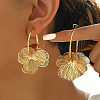 Alloy Hoop Earrings FS-WG33705-01-1