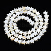 Natural Freshwater Shell Beads Strands SHEL-S278-01A-01-2