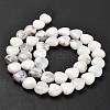 Natural White African Opal Beads Strands G-H005-C10-01-3