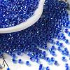 Glass Seed Beads SEED-S042-13A-15-1