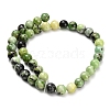 Natural Serpentine Beads Strands G-Z110-C04-10mm-3