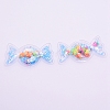 Plastic with Resin and Polymer Clay Accessories RESI-CJC0007-34A-5