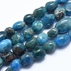 Natural Apatite Beads Strands G-E483-41B-1