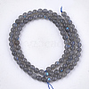 Natural Labradorite Beads Strands G-S333-6mm-035-01-2