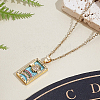 Brass with Cubic Zirconia Pendants Necklaces NJEW-LP0001-45C-G-3