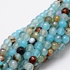 Faceted Natural Agate Round Beads Strands G-E319A-6mm-04-1