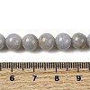 Natural Gemstone Beads Strands G-L641-A01-01-5