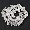 Natural Quartz Crystal Beads Strands G-Q023-A02-01-3