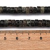 Natural Biotite Beads Strands G-L624-I12-3x6mm-5