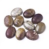 Natural Polychrome Jasper/Picasso Stone/Picasso Jasper Cabochons X-G-D860-A16-1