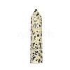 Point Tower Natural Dalmatian Jasper Home Display Decoration PW-WG24364-06-1