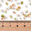 Baking Paint Glass Seed Beads SEED-C003-01J-3