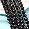 Natural Garnet Gemstone Bead Strands G-R263-10mm-5