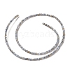 Natural Freshwater Shell Beads Strands SHEL-P017-01A-13-2