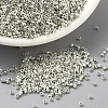 MIYUKI Delica Beads SEED-X0054-DB0035-1