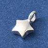 925 Sterling Silver Charms FIND-U013-06S-02-2