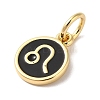 Real 18K Gold Plated Brass Enamel Charms KK-L216-001G-H01-2