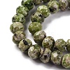 Natural Sesame Jasper Beads Strands G-K380-A20-01-4