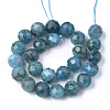Natural Apatite Beads Strands X-G-S345-6mm-008-2