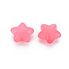 Transparent Acrylic Beads MACR-S373-26E-06-7