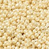 Glass Seed Beads SEED-L011-04A-09-3