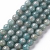 Natural Amazonite Beads Strands G-S333-6mm-005-1