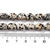 Natural Dalmatian Jasper Beads Strands G-G146-A24-01-5