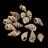 Spiral Shell Charm Pendants SSHEL-R036-20-1