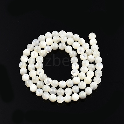 Natural White Shell Bead Strands SSHEL-N003-144D-01-1
