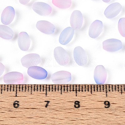 Frosted Glass Seed Beads SEED-N008-05G-1