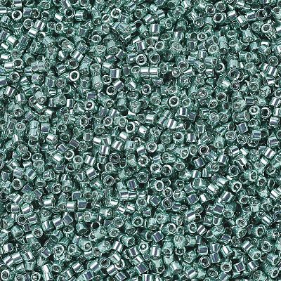 MIYUKI Delica Beads X-SEED-J020-DB0416-1