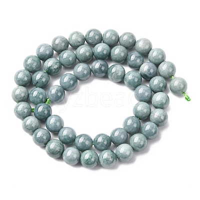 Natural Blue Jade Beads Strands G-H341-8mm-01-1