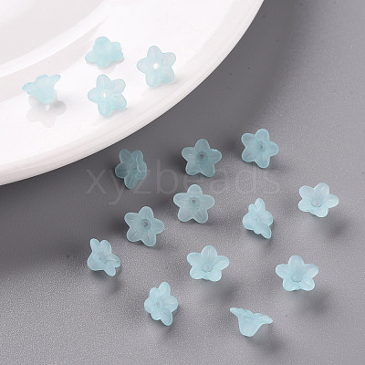 Transparent Acrylic Beads PL554-11-1