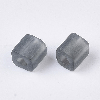 6/0 Transparent Glass Seed Beads SEED-S027-04B-09-1