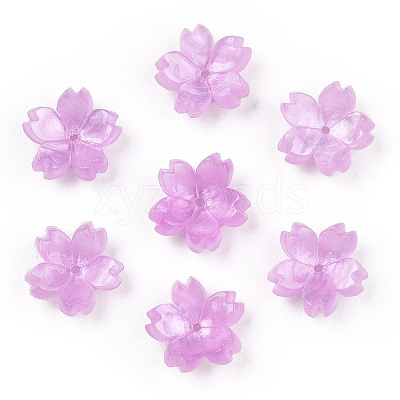 Cellulose Acetate(Resin) Bead Caps KK-S161-03E-1