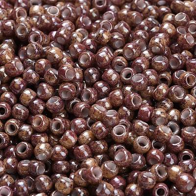 TOHO 6/0 Round Beads SEED-TR06-1203-1